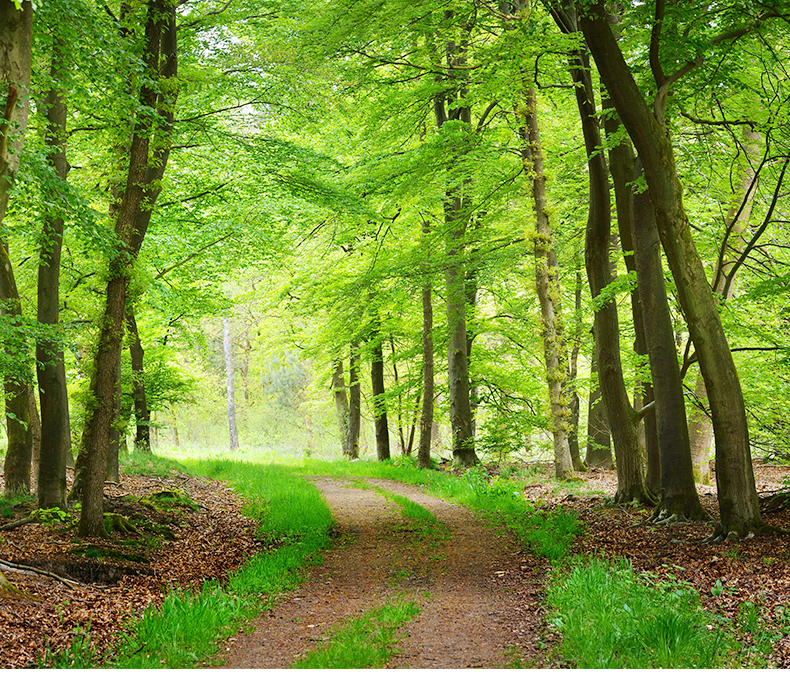 美国牛卡纸1_02_02 美国牛卡纸1_02_02